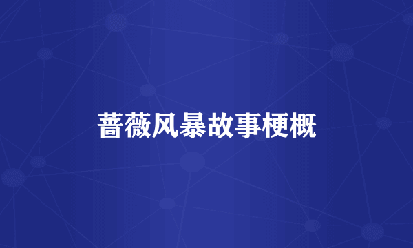 蔷薇风暴故事梗概