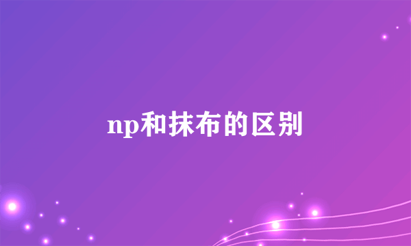 np和抹布的区别