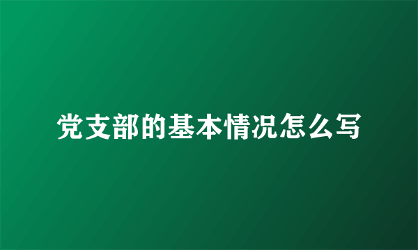 党支部的基本情况怎么写