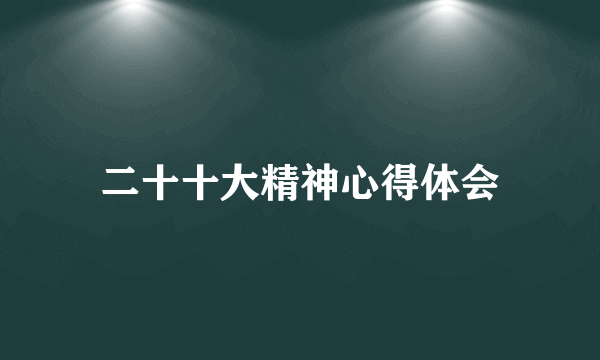 二十十大精神心得体会