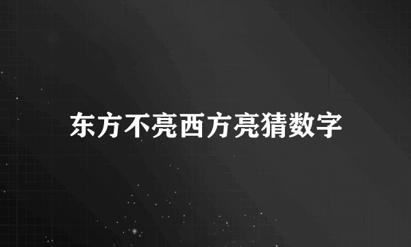 东方不亮西方亮猜数字