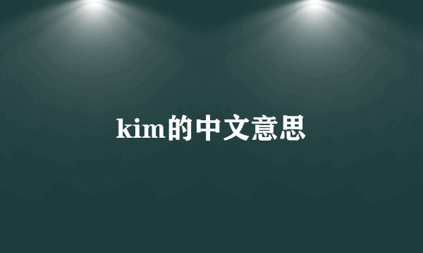 kim的中文意思