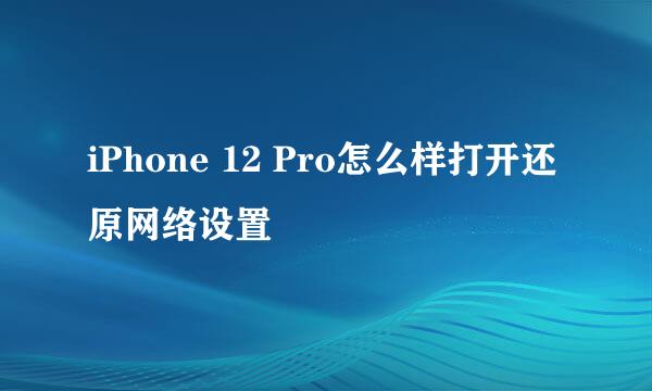 iPhone 12 Pro怎么样打开还原网络设置