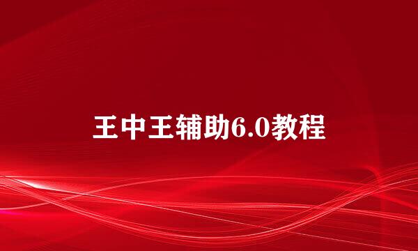 王中王辅助6.0教程