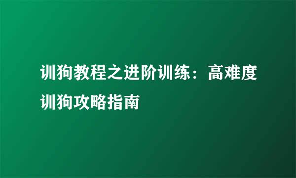 训狗教程之进阶训练：高难度训狗攻略指南