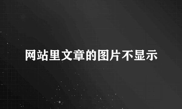网站里文章的图片不显示