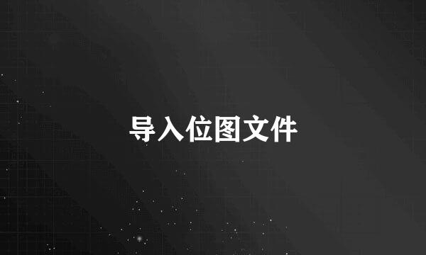 导入位图文件