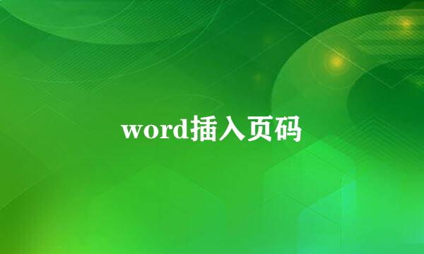 word插入页码