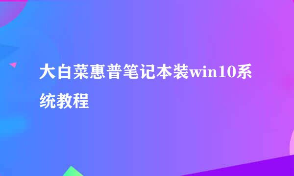 大白菜惠普笔记本装win10系统教程