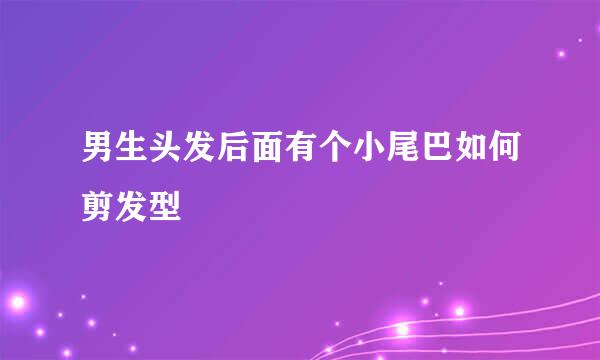 男生头发后面有个小尾巴如何剪发型