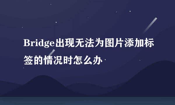 Bridge出现无法为图片添加标签的情况时怎么办