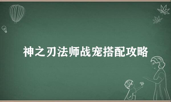 神之刃法师战宠搭配攻略