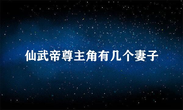 仙武帝尊主角有几个妻子