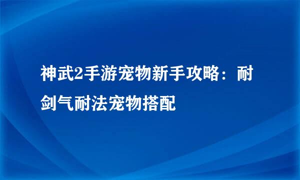 神武2手游宠物新手攻略：耐剑气耐法宠物搭配