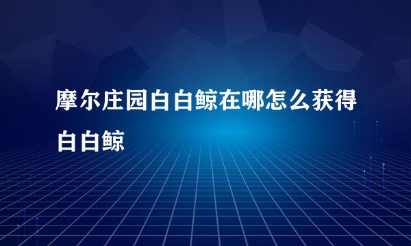 摩尔庄园白白鲸在哪怎么获得白白鲸