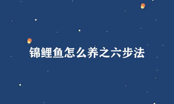 锦鲤鱼怎么养之六步法