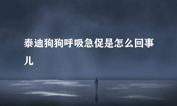 泰迪狗狗呼吸急促是怎么回事儿