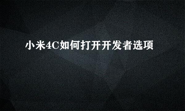 小米4C如何打开开发者选项