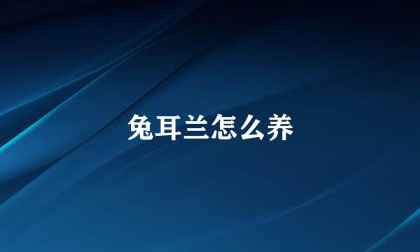 兔耳兰怎么养