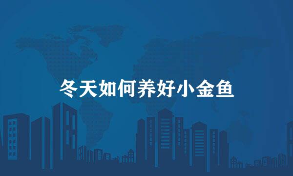 冬天如何养好小金鱼