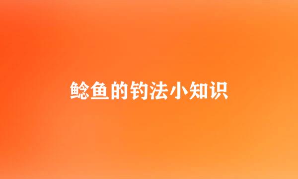 鲶鱼的钓法小知识