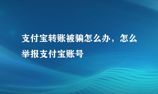 支付宝转账被骗怎么办，怎么举报支付宝账号