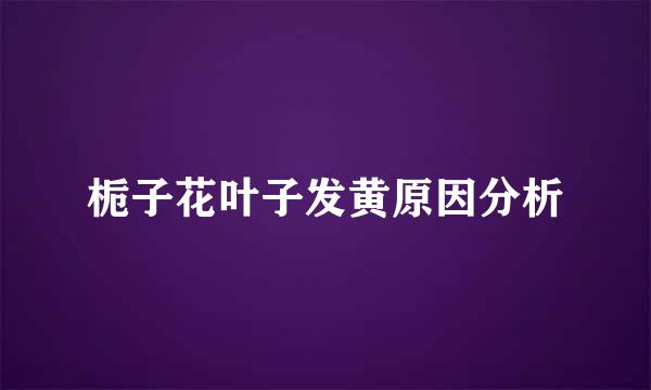 栀子花叶子发黄原因分析