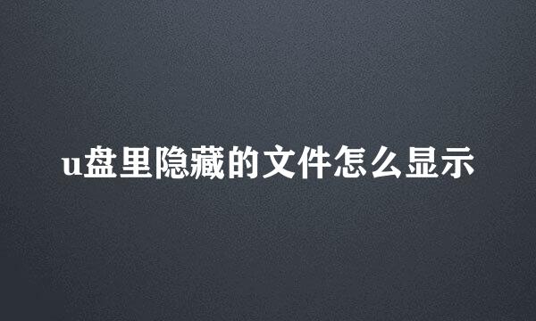u盘里隐藏的文件怎么显示