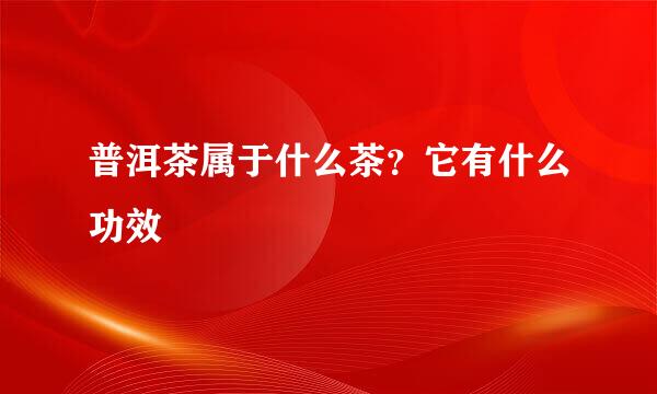 普洱茶属于什么茶？它有什么功效