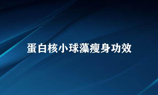 蛋白核小球藻瘦身功效