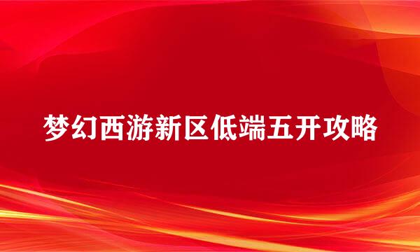 梦幻西游新区低端五开攻略