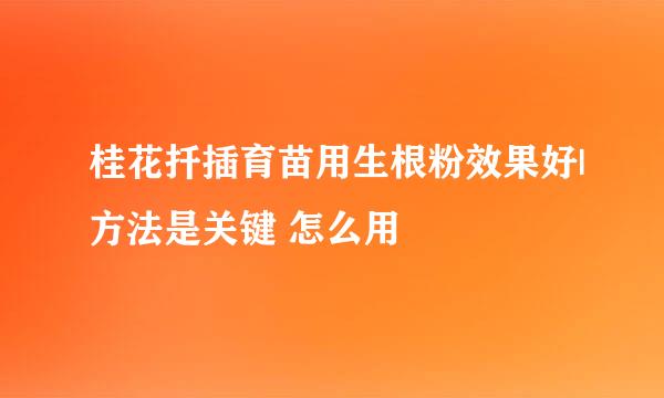 桂花扦插育苗用生根粉效果好|方法是关键 怎么用