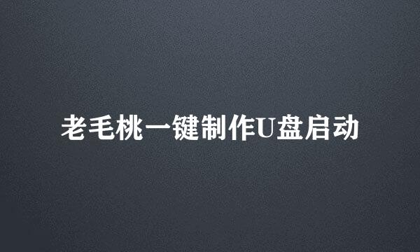 老毛桃一键制作U盘启动
