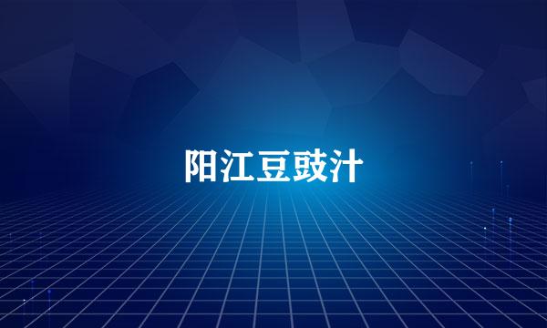 阳江豆豉汁