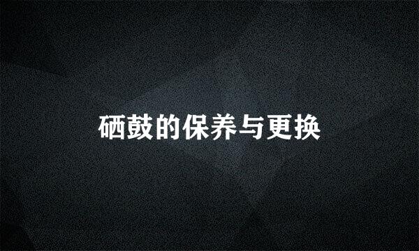 硒鼓的保养与更换
