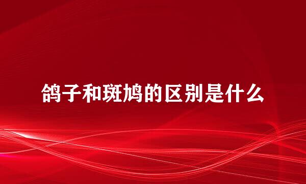 鸽子和斑鸠的区别是什么