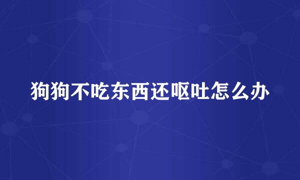 狗狗不吃东西还呕吐怎么办