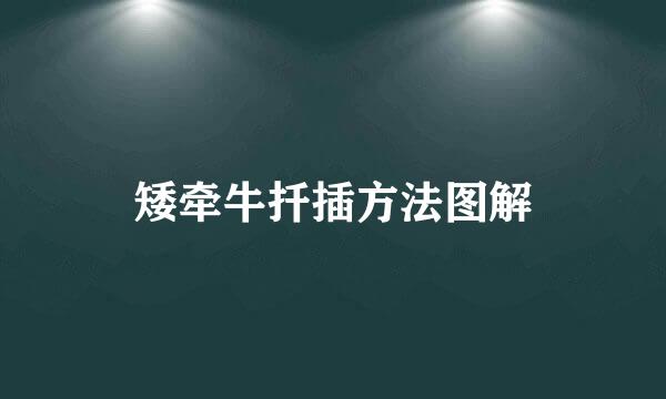 矮牵牛扦插方法图解