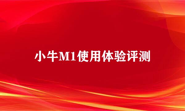 小牛M1使用体验评测
