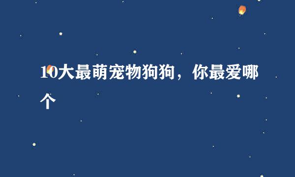 10大最萌宠物狗狗，你最爱哪个