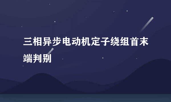 三相异步电动机定子绕组首末端判别