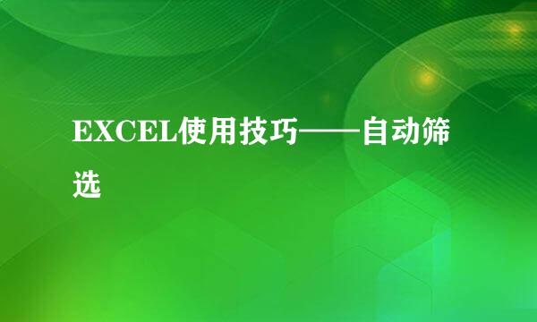 EXCEL使用技巧——自动筛选