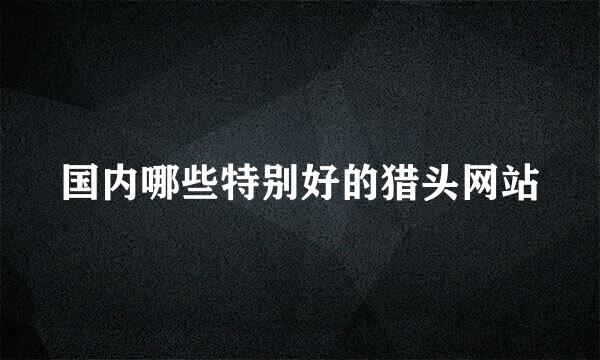 国内哪些特别好的猎头网站