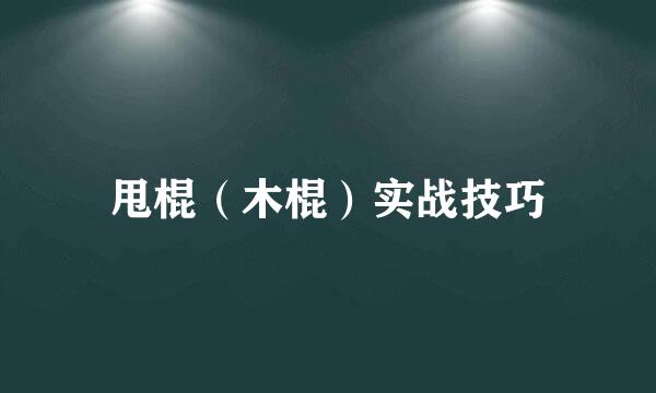 甩棍（木棍）实战技巧