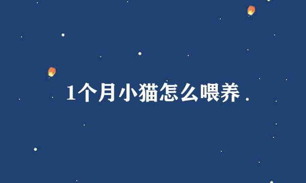 1个月小猫怎么喂养