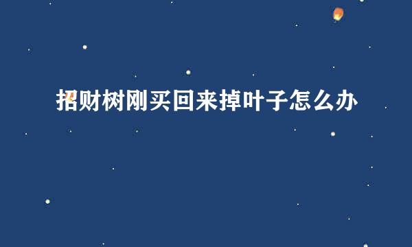 招财树刚买回来掉叶子怎么办