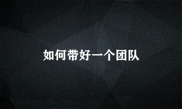 如何带好一个团队