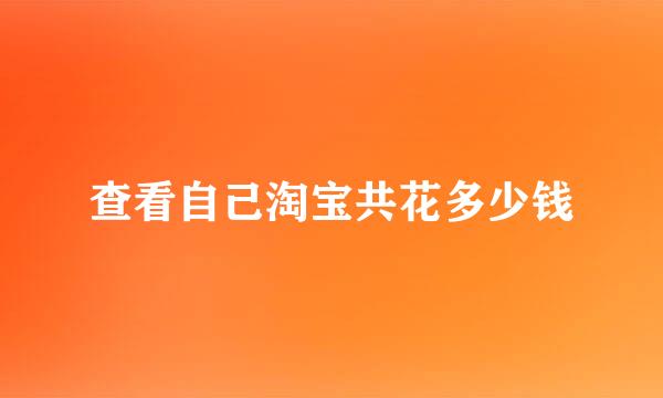 查看自己淘宝共花多少钱