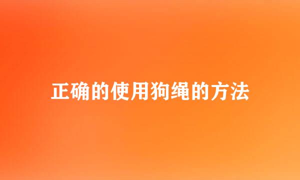 正确的使用狗绳的方法