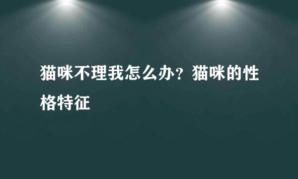 猫咪不理我怎么办？猫咪的性格特征